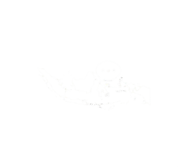 Bahasa Indonesia SMATER NDAO Ende